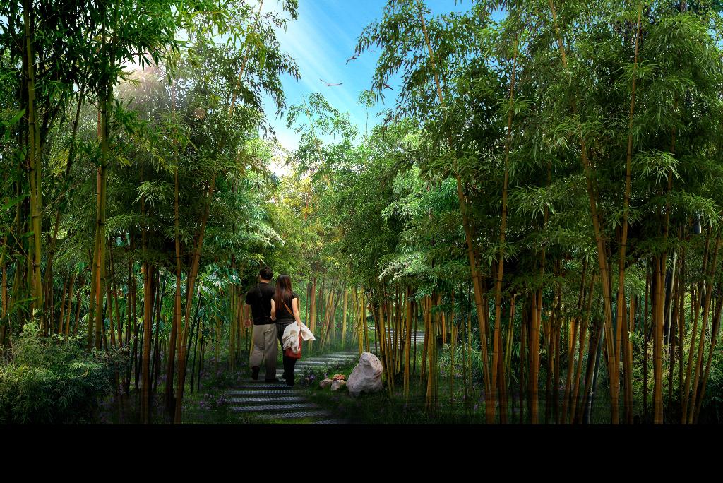 竹林橙子黄色视频景观设计http://ydyl.genericsummit.com/