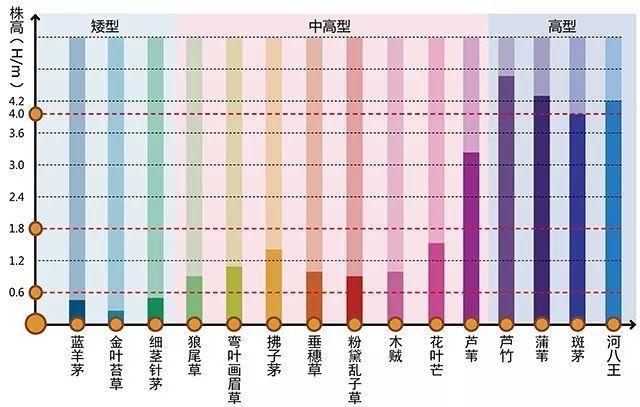 河南景观设计行业设计植物需要注重的问题有哪些？